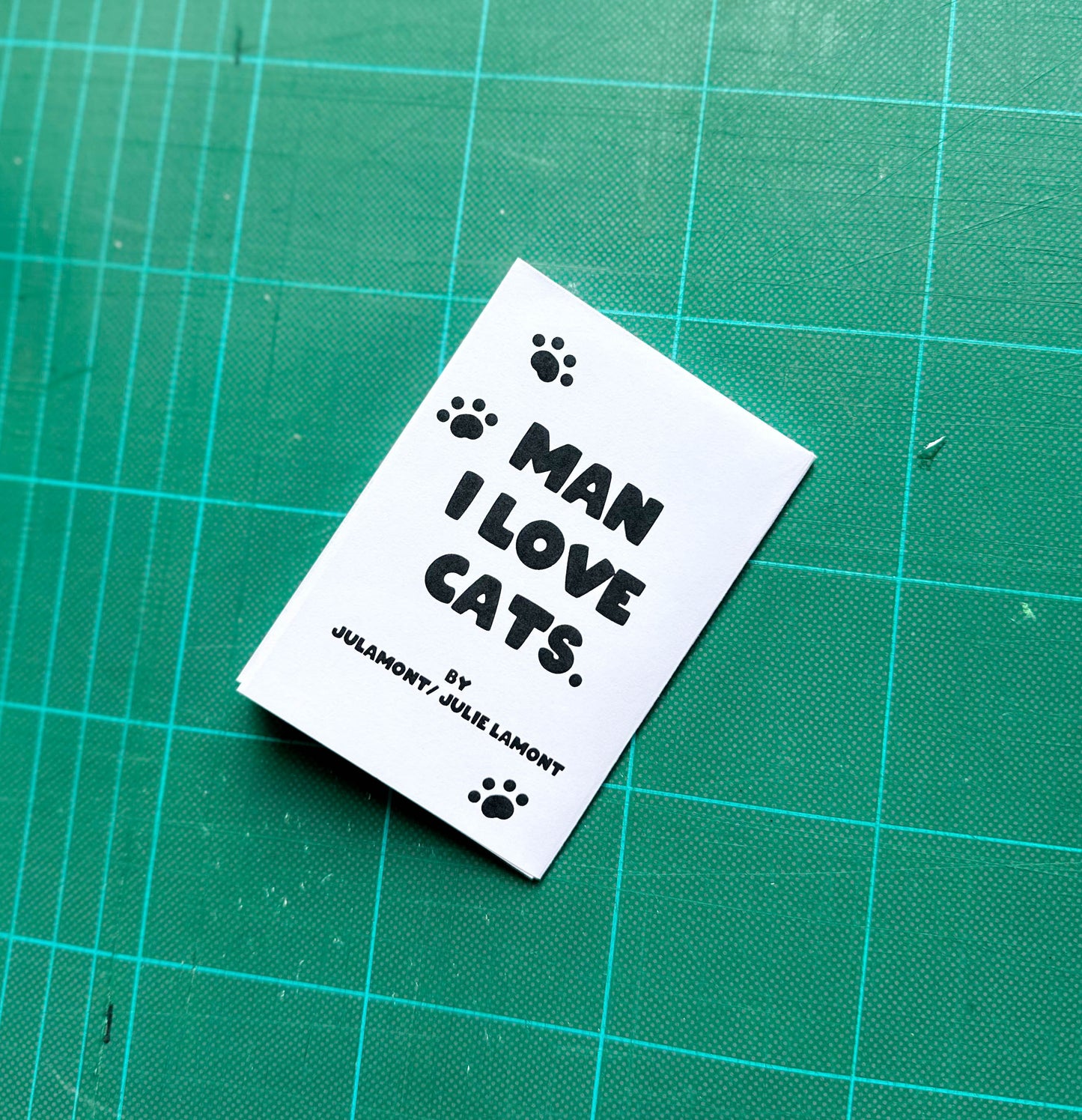 'Meet my Cats' Mini Zine