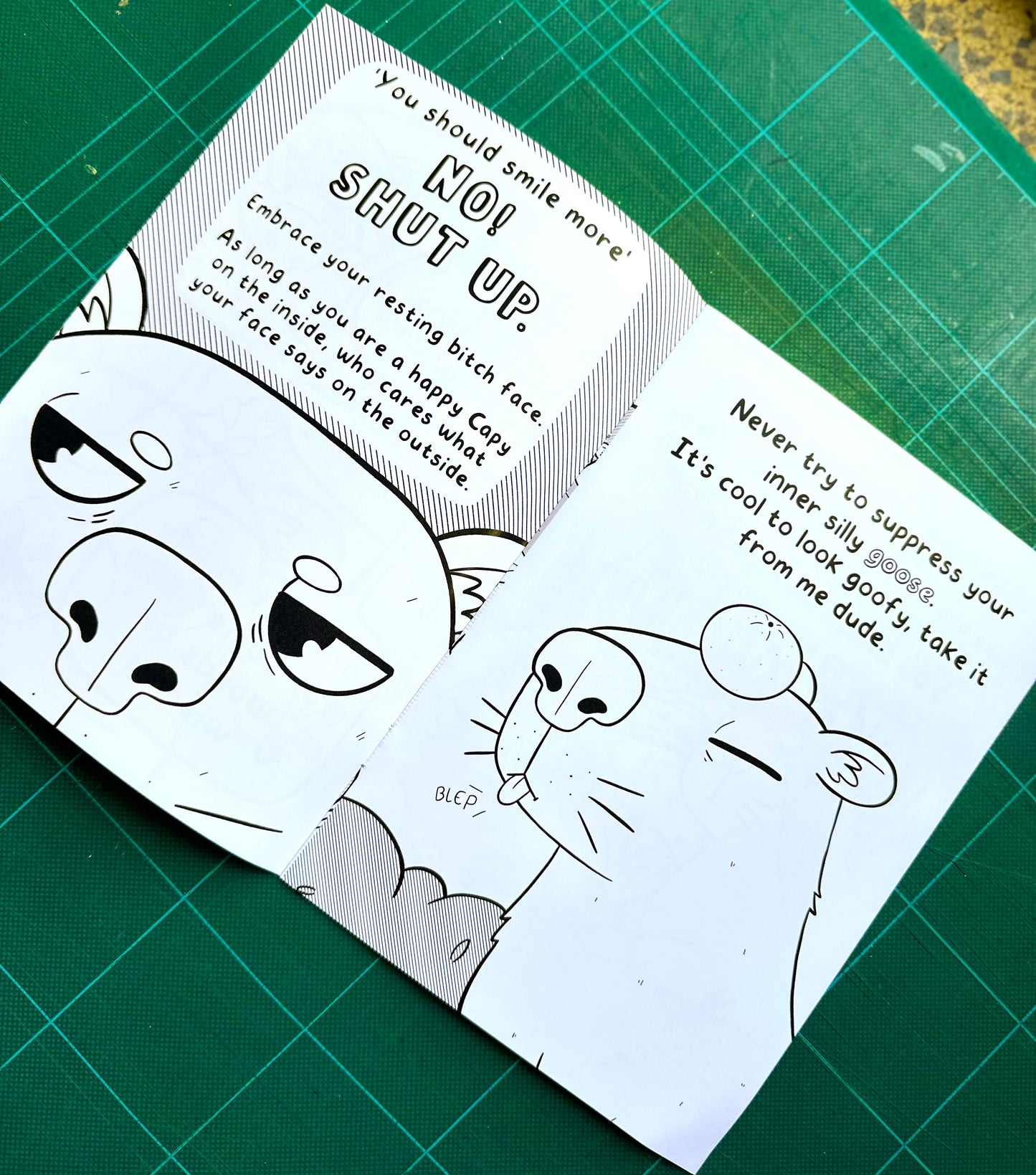 'Life Advice from a Capybara' Zine